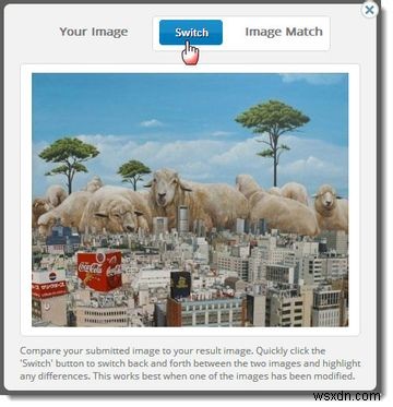 Chrome拡張機能「TinEye」で逆画像検索を極める!知っておきたい便利な活用術