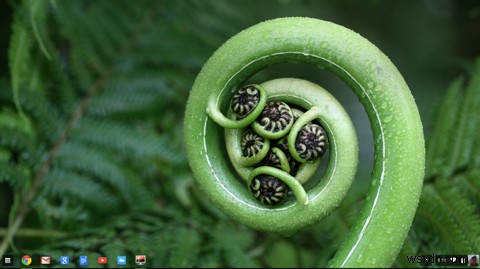 Chromebookで毎日新しい壁紙を自動設定する方法【Bing Background Wallpaper活用術】