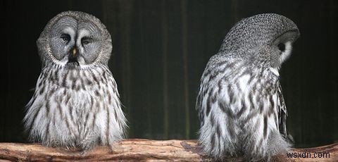 友達解除・フォロー解除・いいね解除――タイムラインを整える「禅」のすすめ