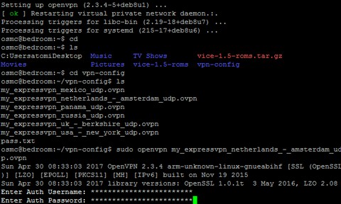 Raspberry PiにVPNを導入する方法!OpenVPNの設定手順を徹底解説