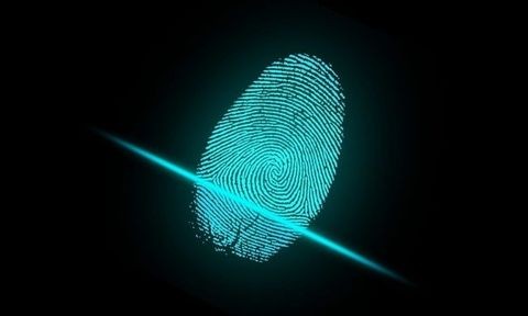 生体認証（バイオメトリクス）はどれだけ安全？信頼性とリスクを徹底解説