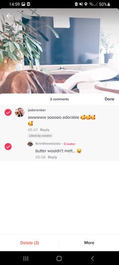 【TikTok】不快なコメントを一括削除・通報する方法とアカウントの一括ブロック手順を解説