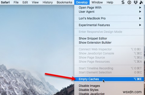 MacのSafariで閲覧履歴・Cookie・キャッシュを消去する方法を徹底解説