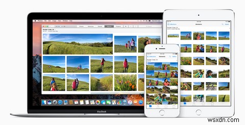 iPhoneでGoogleフォトを使うべき？iCloud写真との徹底比較
