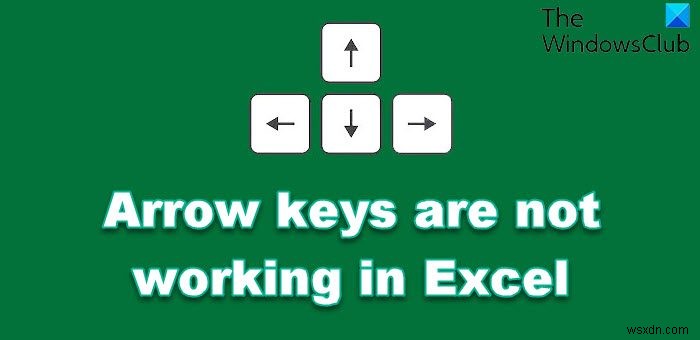 Microsoft Excelで矢印キーが動かない原因と直し方を徹底解説
