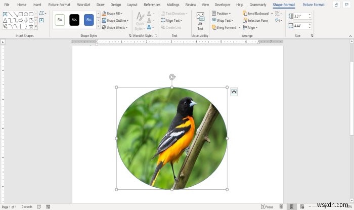 Microsoft Wordで図形に画像を挿入する方法【トリミング手順も解説】