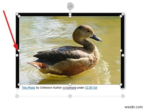Microsoft Wordで画像の周りにカラーフレームを追加する方法