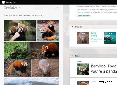 Microsoft Office Swayとは?アイデアを美しく共有できる新しいコンテンツ作成アプリ