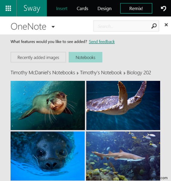 Office Swayの使い方：OneNote画像の追加からWeb埋め込み、共有設定まで徹底解説