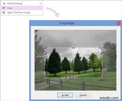 【無料】OnetasticアドインでOneNoteの機能を大幅に拡張する方法