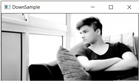OpenCVのpyrDown関数を使った画像のダウンサンプリング方法
