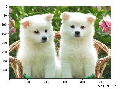 Pythonでscikit-learnライブラリを使って画像の解像度を取得する方法