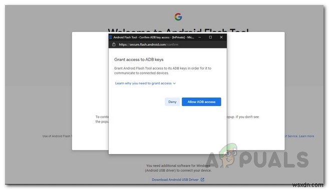 対応デバイスにAndroid 12パブリックベータをインストールする完全ガイド
