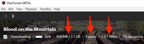 トレント動画をダウンロードしながら視聴する方法【WebTorrent Desktop活用ガイド】
