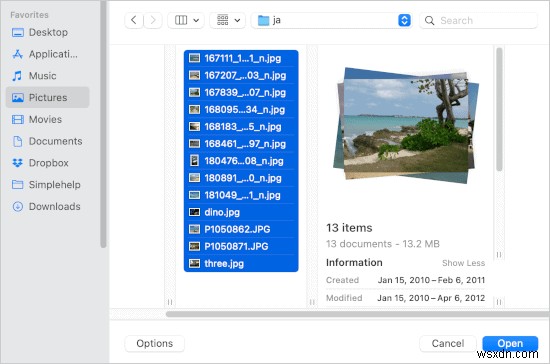 ソフト不要でOK!Canvaを使ってブラウザだけで写真コラージュを作る方法