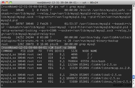 【Linux】lsofコマンドで開いているファイル・ソケット・パイプの一覧を取得する方法