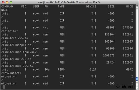 【Linux】lsofコマンドで開いているファイル・ソケット・パイプの一覧を取得する方法