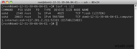 【Linux】lsofコマンドで開いているファイル・ソケット・パイプの一覧を取得する方法