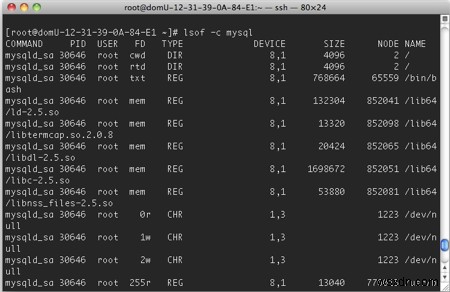 【Linux】lsofコマンドで開いているファイル・ソケット・パイプの一覧を取得する方法