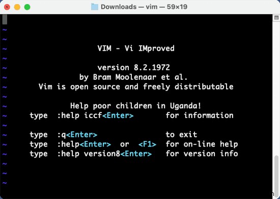 Vimテキストエディタ入門:初心者向け基本操作と使い方ガイド