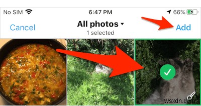 iPhoneのライブ写真をTwitterでアニメーションGIFとして投稿する方法