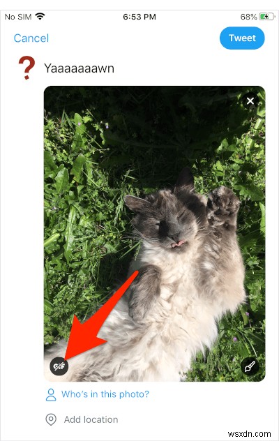 iPhoneのライブ写真をTwitterでアニメーションGIFとして投稿する方法