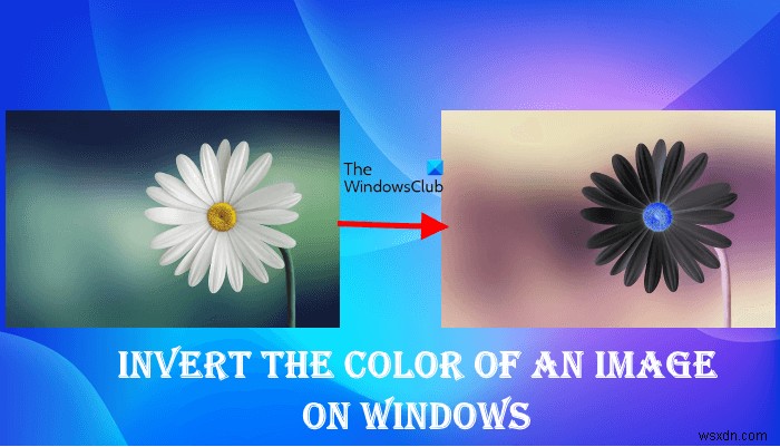 Windows 11/10で画像の色を反転する方法|ペイント・無料ソフト・オンラインツール徹底解説