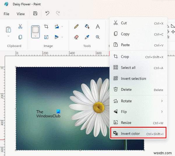 Windows 11/10で画像の色を反転する方法|ペイント・無料ソフト・オンラインツール徹底解説