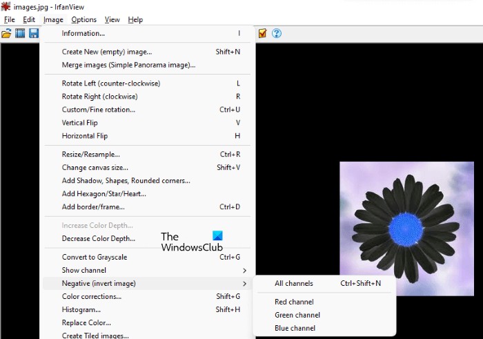 Windows 11/10で画像の色を反転する方法|ペイント・無料ソフト・オンラインツール徹底解説