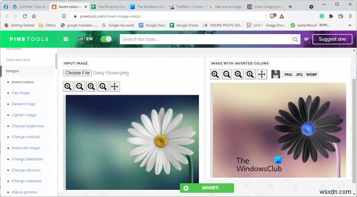 Windows 11/10で画像の色を反転する方法|ペイント・無料ソフト・オンラインツール徹底解説