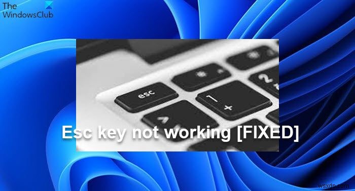 【Windows 11/10】Escキーが効かない・反応しないときの対処法8選