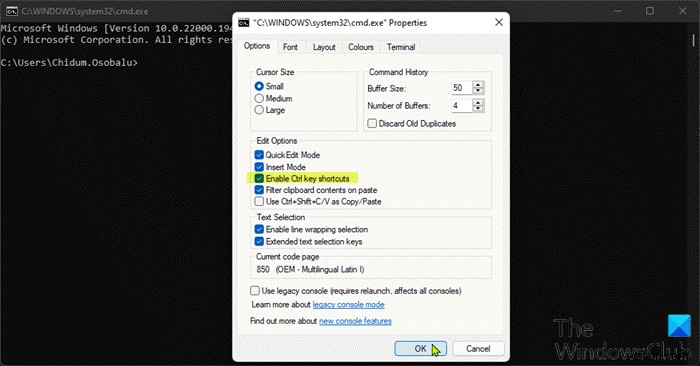 Windows 11/10のコマンドプロンプトでCtrl+C・Ctrl+V(コピー&ペースト)を有効にする方法