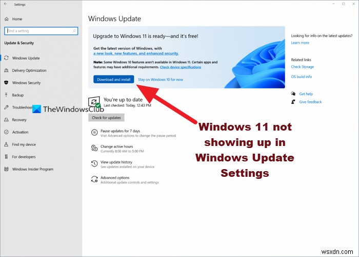 Windows UpdateにWindows 11が表示されないときの原因と7つの解決策