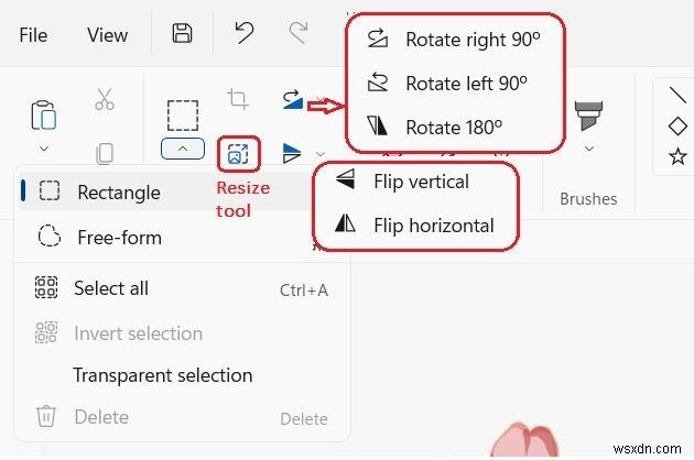 Windows 11版Microsoftペイント徹底解説:新機能と基本操作ガイド