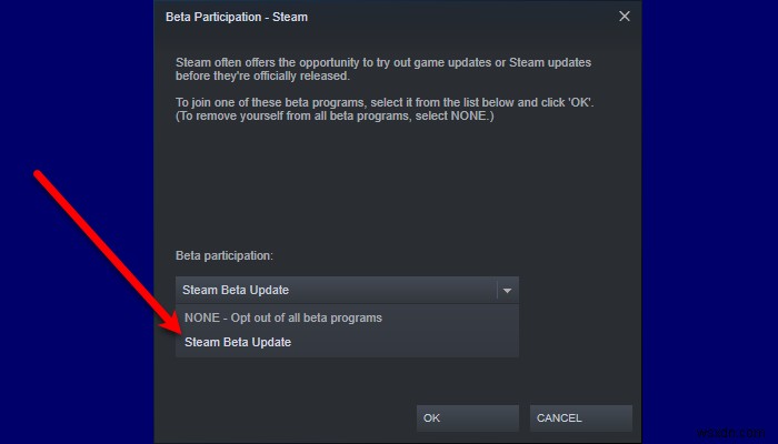 SteamリモートプレイがWindows 11/10で動作しないときの対処法