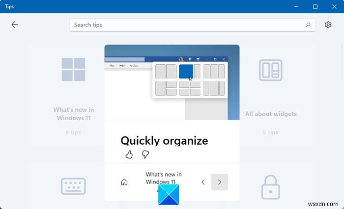 Windows 11の「ヒント」アプリ活用ガイド|基本操作からアンインストールまで徹底解説