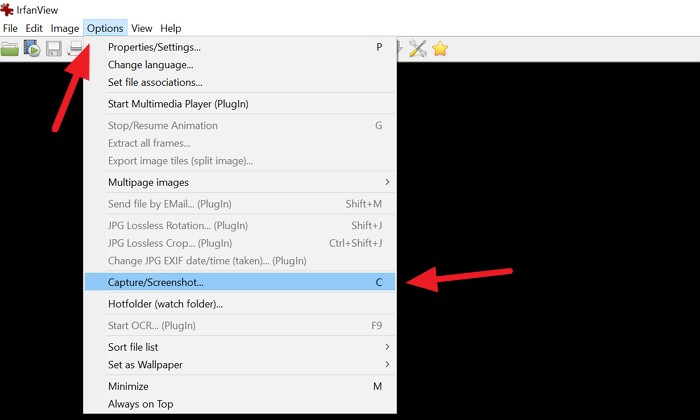 Windows 11/10でマウスカーソルを含めたスクリーンショットを撮る方法