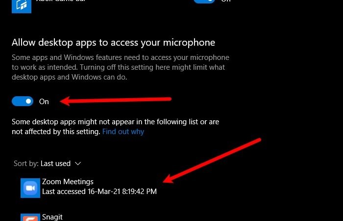 Windows 11/10でZoomのマイクが動作しないときの対処法6選