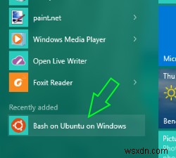 Windows 11/10でBash on Ubuntuを実行する方法【WSL導入ガイド】