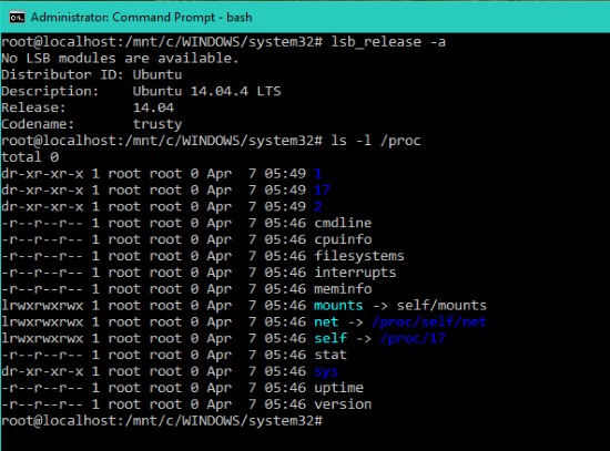 Windows 11/10でBash on Ubuntuを実行する方法【WSL導入ガイド】