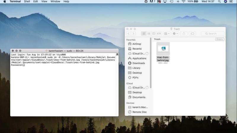 Macでゴミ箱を空にする方法|削除できないときの対処法も解説