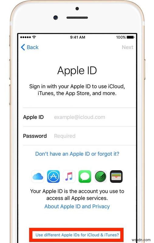 Apple IDアカウントの使い方徹底解説!サインイン方法からファミリー共有まで