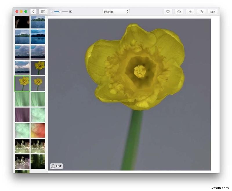 Macの「写真」アプリで写真を編集する完全ガイド