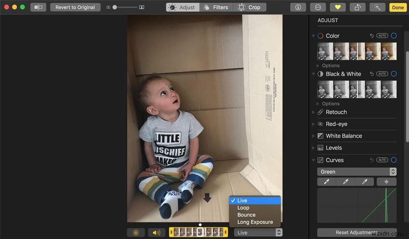 Macの「写真」アプリで写真を編集する完全ガイド