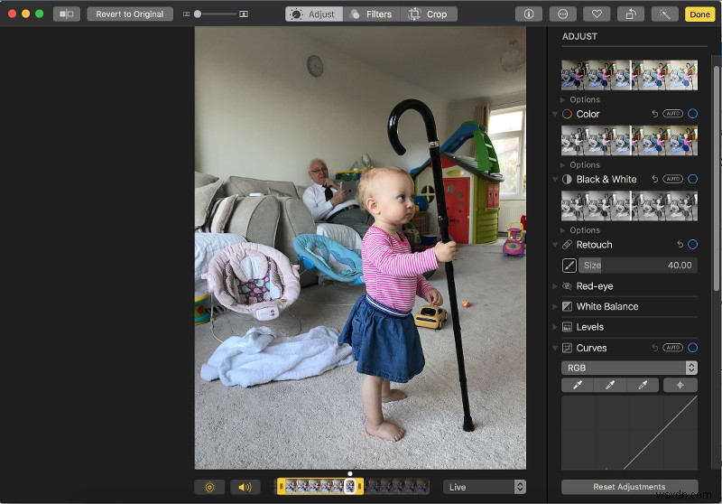 MacでGIFを作る方法|無料ツール4選でライブ写真・動画から簡単作成