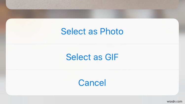 iPhoneのWhatsAppでGIFを送信する方法【Giphy・動画・Live Photos対応】