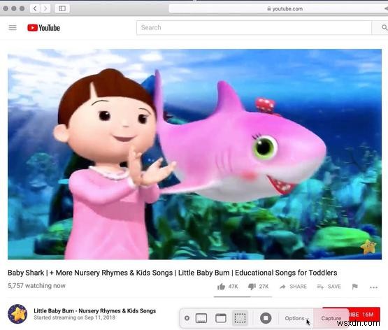 Macで画面を録画する方法|MojaveのショートカットからQuickTime・おすすめアプリまで徹底解説