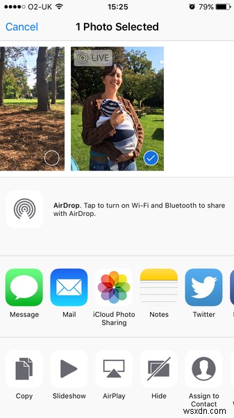 iPhoneでライブフォトを撮る方法|撮影のコツから編集・共有まで徹底解説