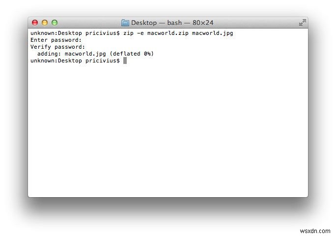 Macでファイルを圧縮（zip）する方法｜解凍からパスワード保護まで徹底解説
