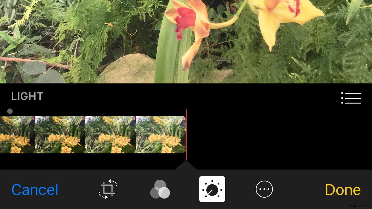 iPhone「写真」アプリ完全ガイド：編集・整理・検索・共有の基本と便利技